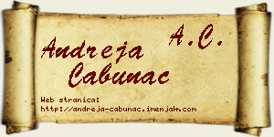 Andreja Cabunac vizit kartica